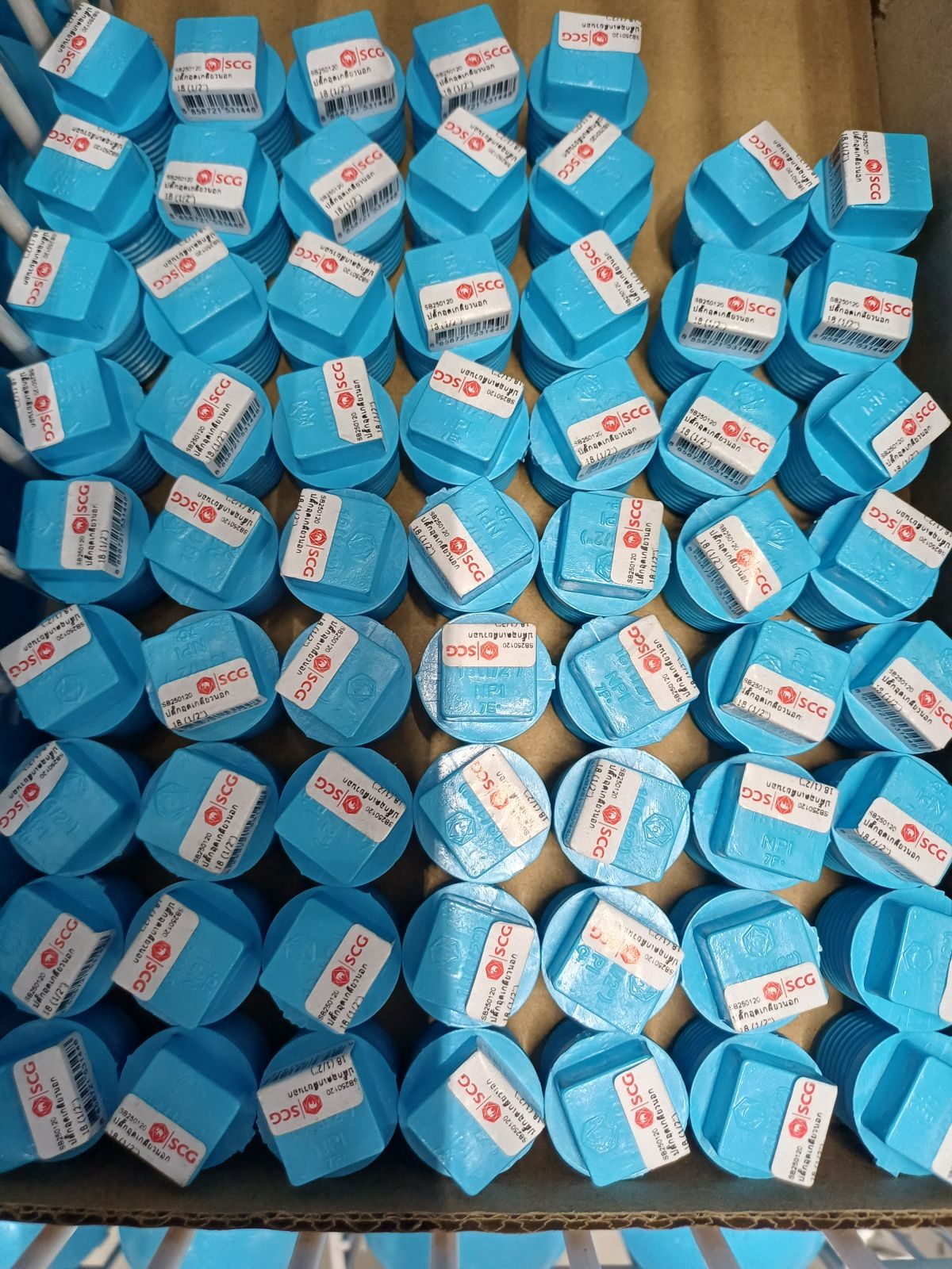 ฝาอุดเกลียวนอก หนา-ฟ้า 1/2" (SCG)