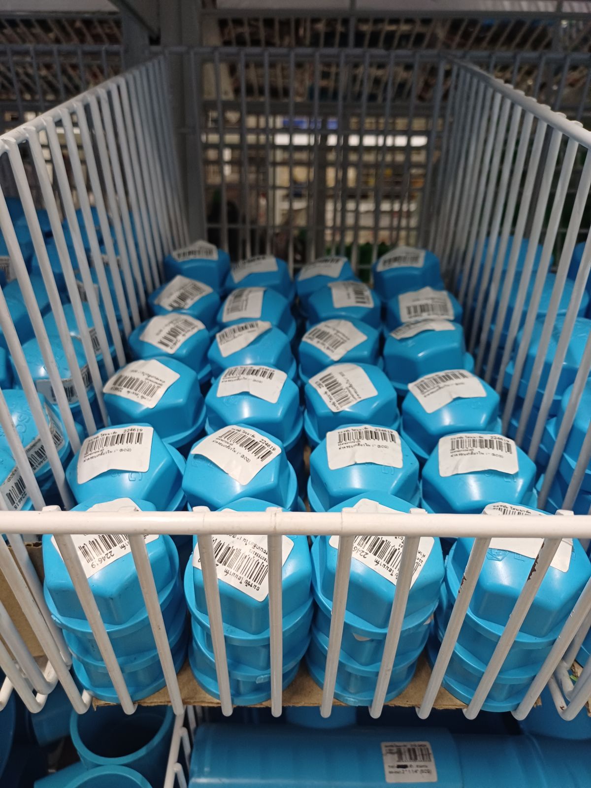 ฝาครอบเกลียวใน 1" (SCG)