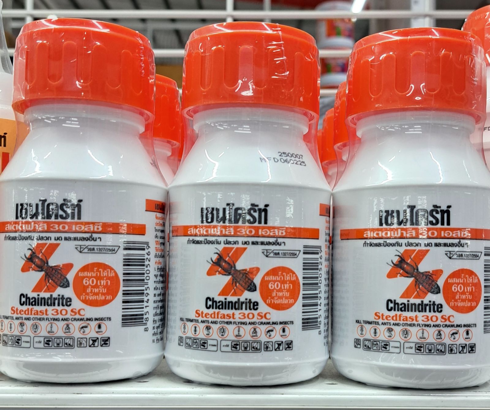 เชนไดร้ท์ สเตดฟาส 30sc เทราดพื้น 250cc