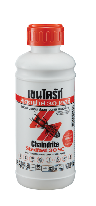 เชนไดร้ท์ สเตดฟาส 30sc เทราดพื้น 500cc