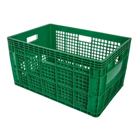 (S)ลังผลไม้ 605 สีเขียว ตรางู