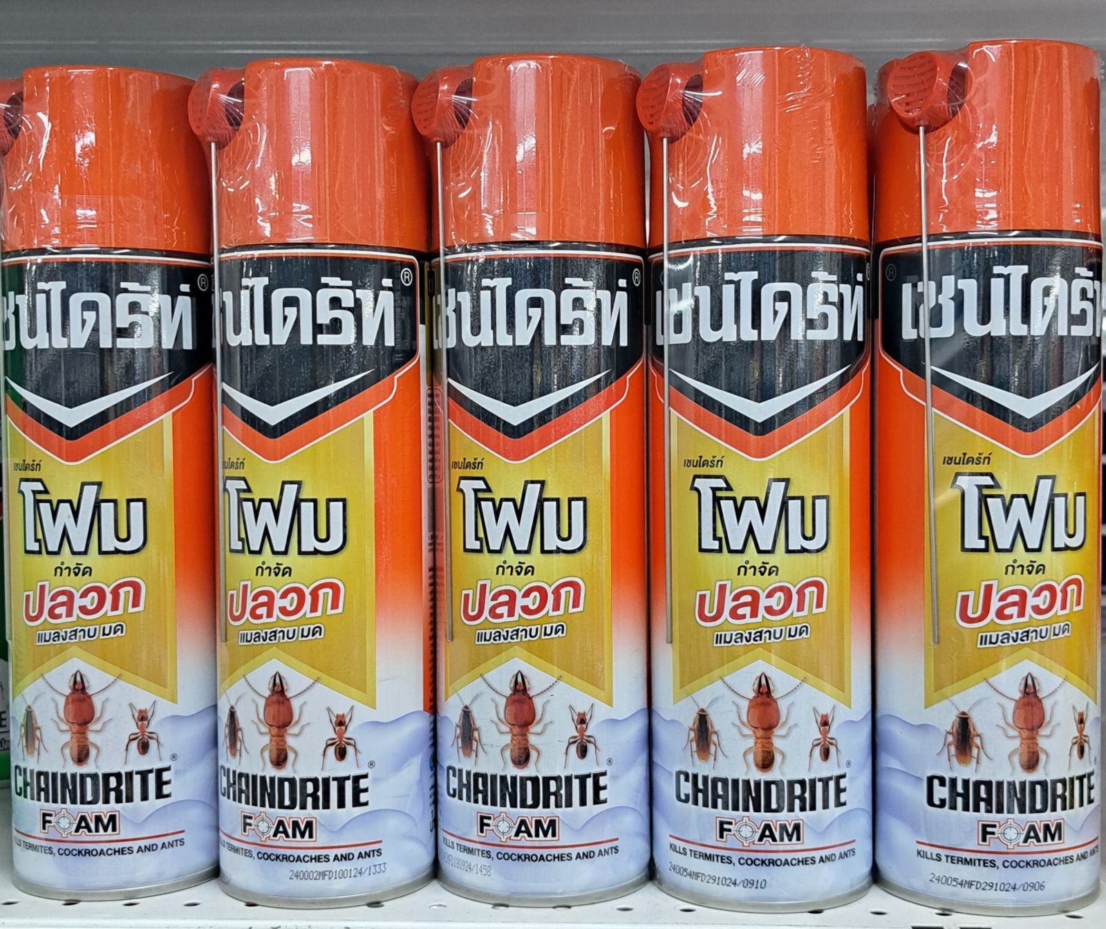 เชนไดร้ท์ โฟม กำจัดปลวก 250 กรัม